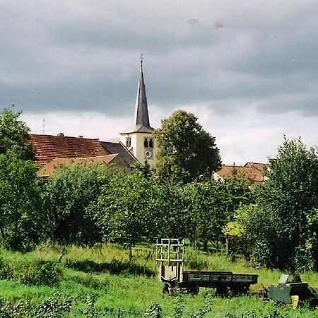 Pension "Am Tor Zum Mainbogen" Grettstadt Kültér fotó